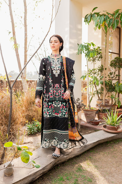 Black souk - Premium  from Naayas Official - Just Rs.6374.15! Shop now at Naayas Official